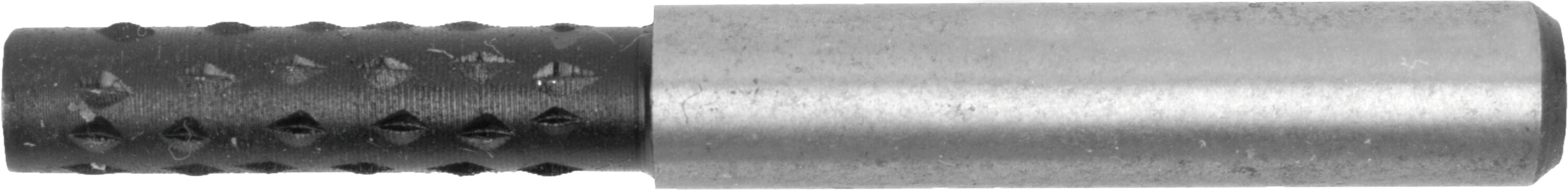 Tork Craft Rotary Rasp Straight TC TC RR00
