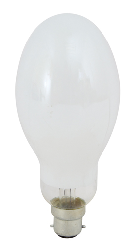 Eurolux Lamp Mecury Blend 160W 240V B22 G168