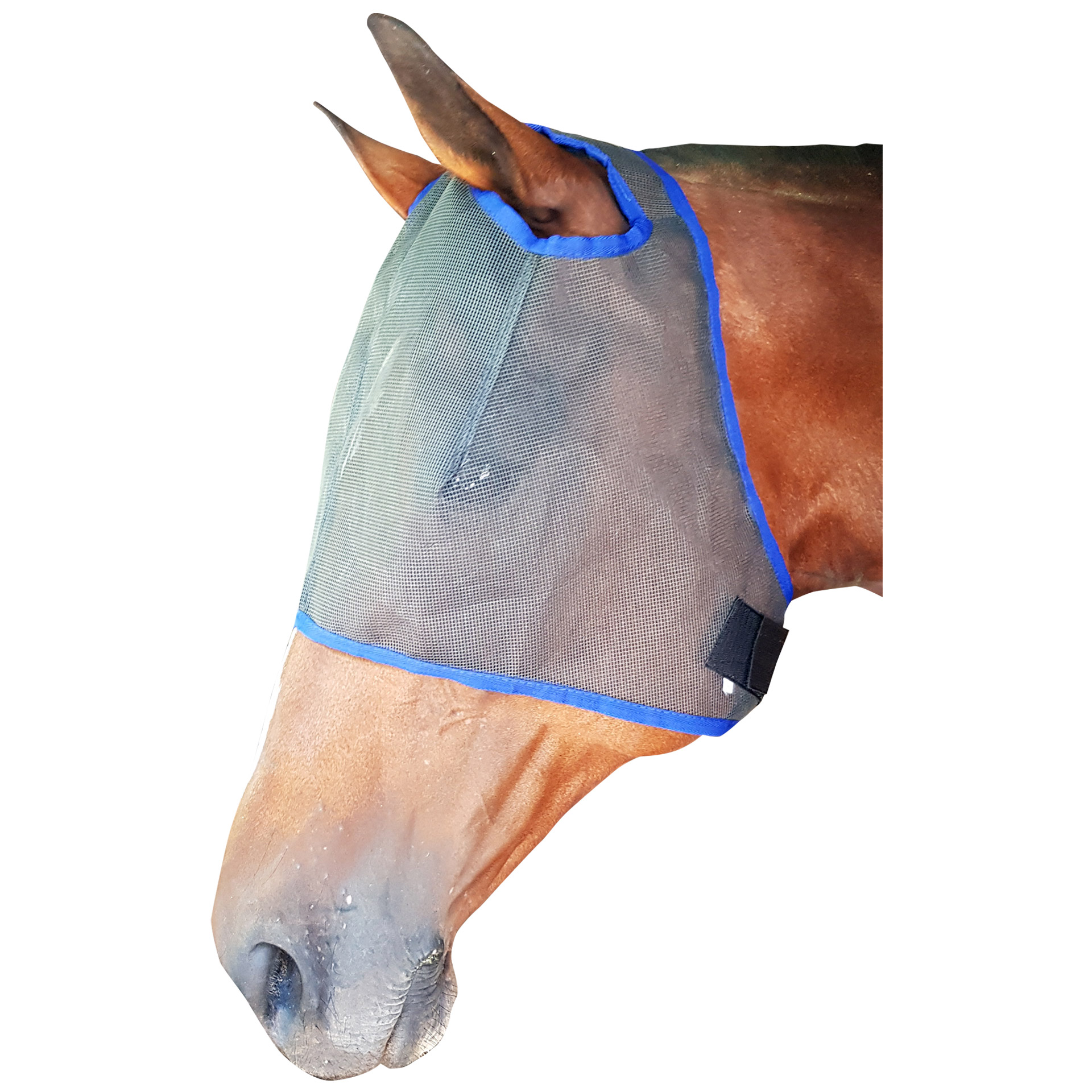 Solo Fly Mask With Ear Holes M FLY090M