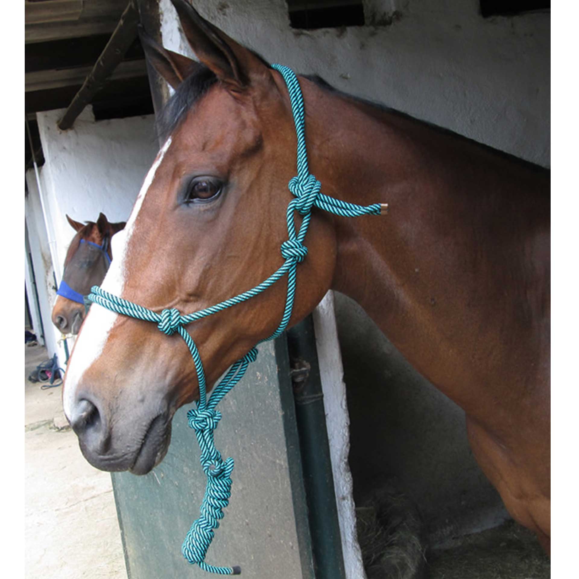 Solo Halter Rope ROP030