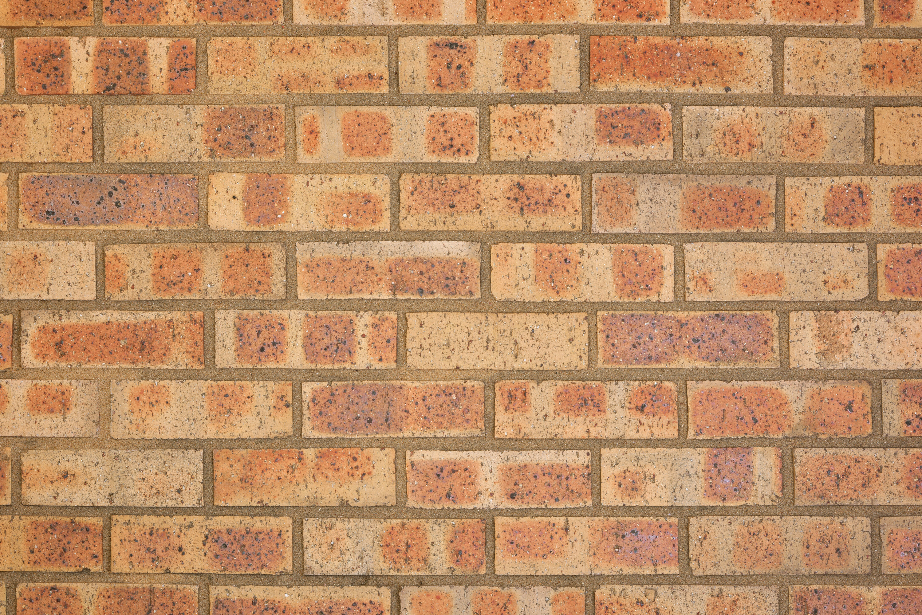 Nebraska Travertine FBS