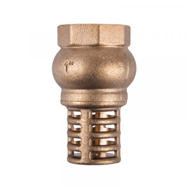 Foot Valve Brass 20mm