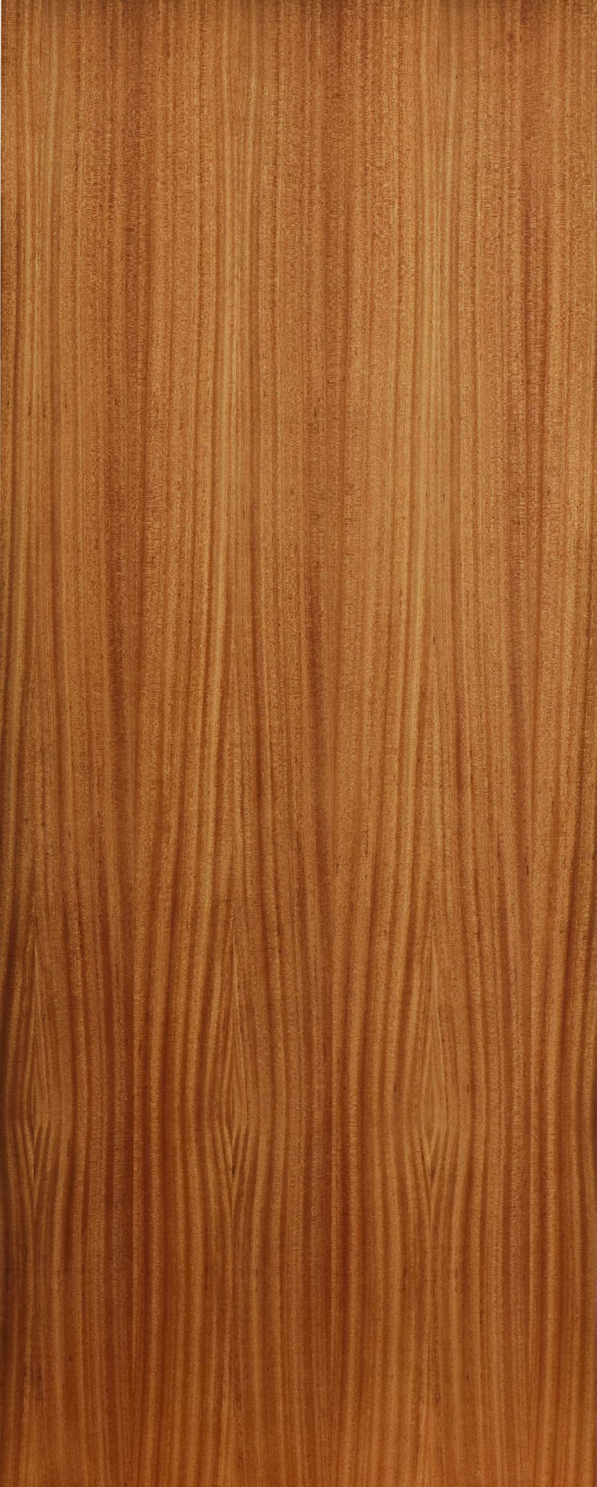 Kayo Door Sapele 813x2032 HC Veneer 1CE VNSAPLI1