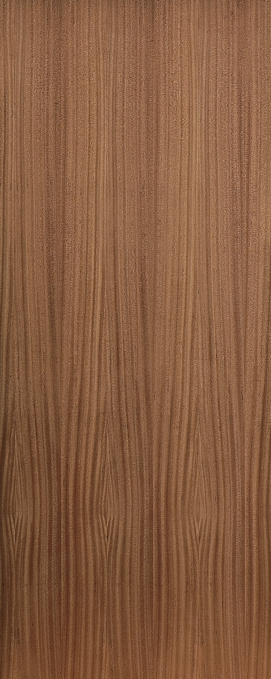 Kayo Door Sapele 813x2032 HC Veneer EE VNSAPL10
