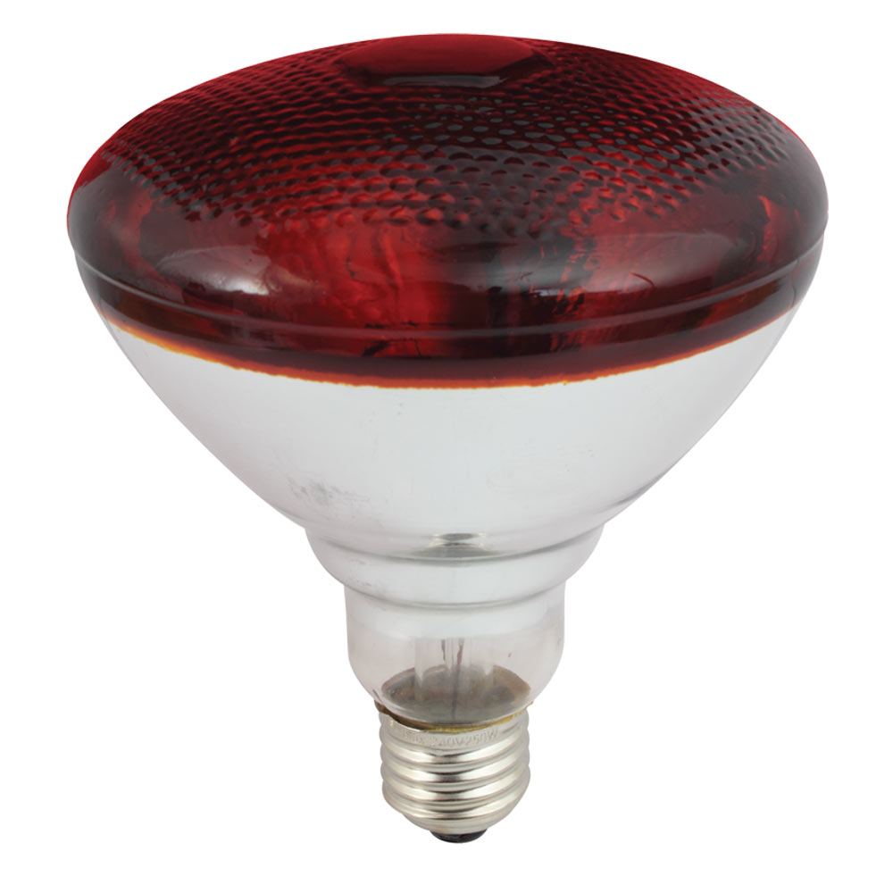 Eurolux Lamp Infrared Brooder 250W G624