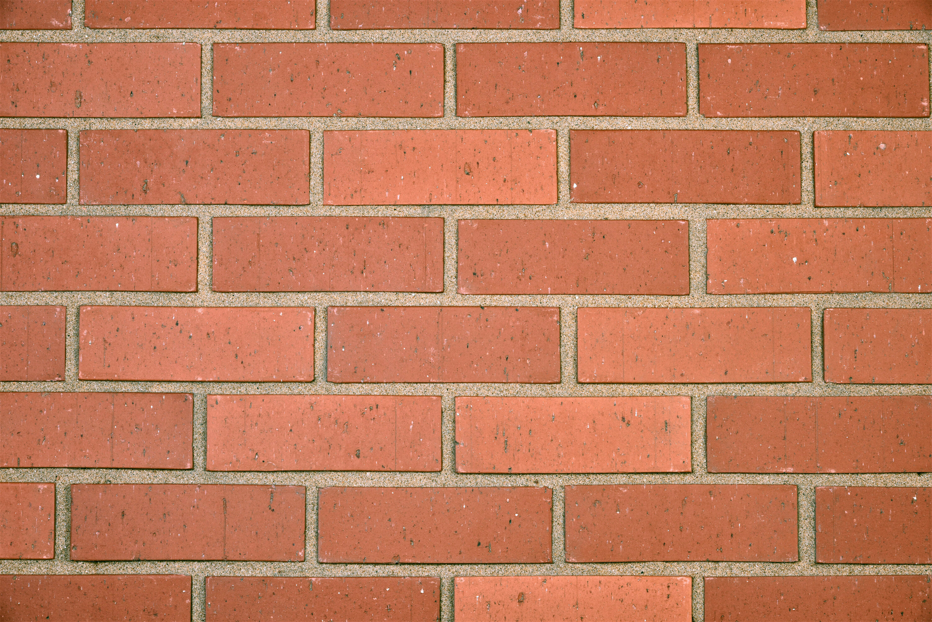 Terracotta Travertine FBS