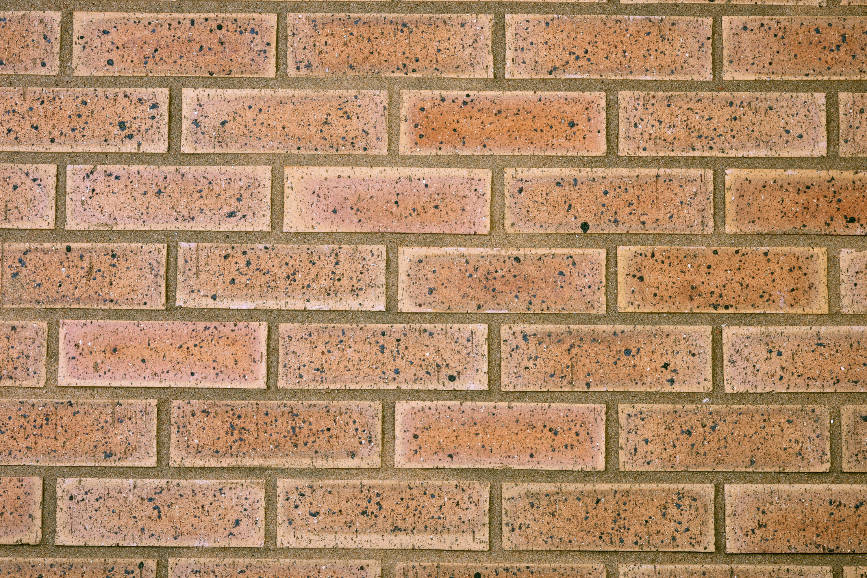 Brick Topaz Travertine Fbs