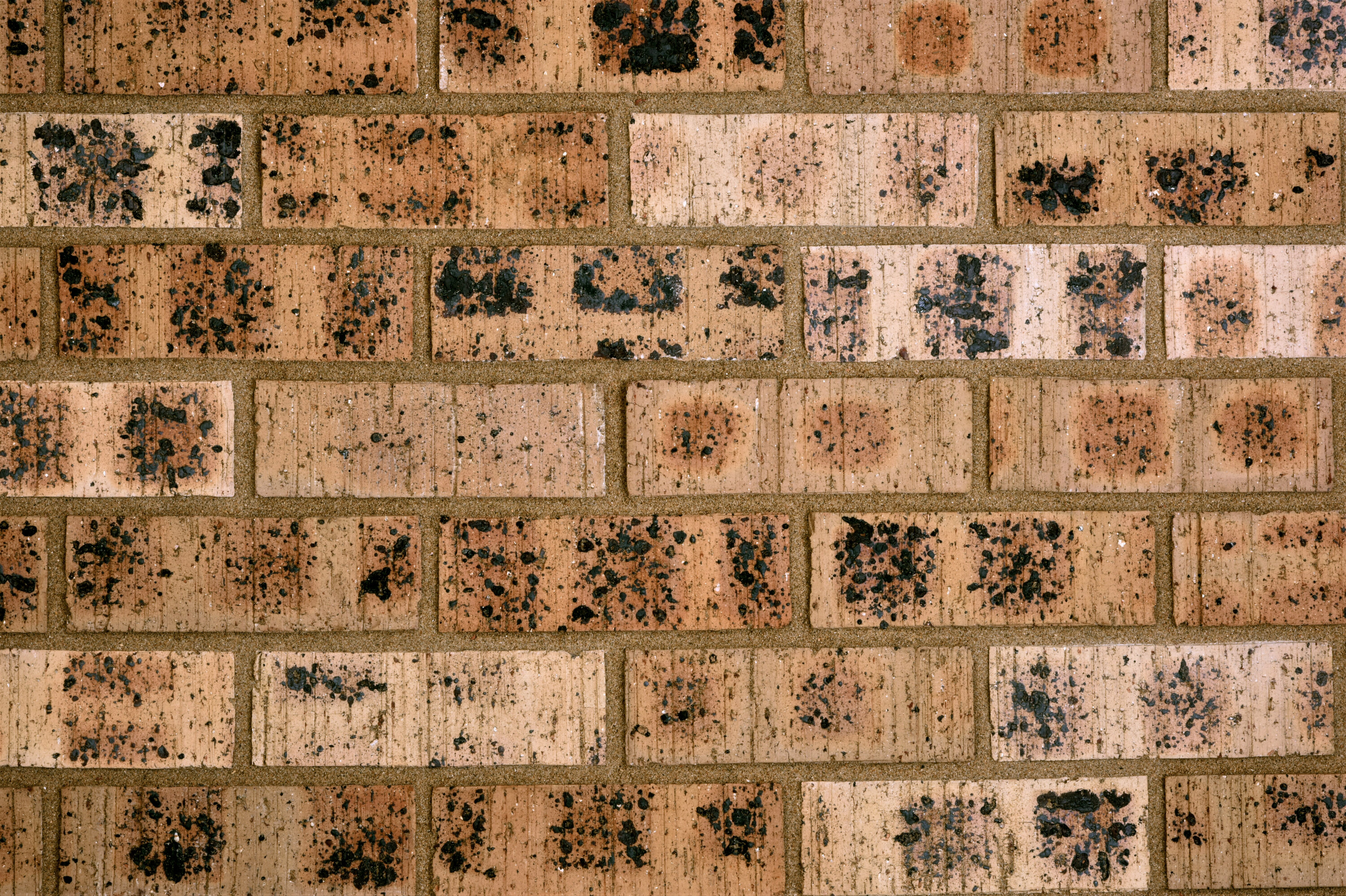 Kiaat Travertine FBS