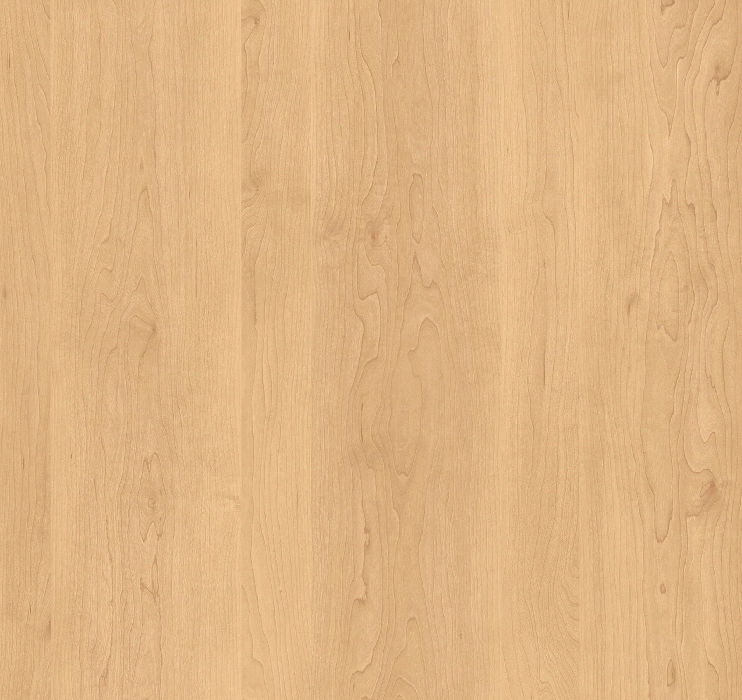 1291151_c379.jpg?width=240&