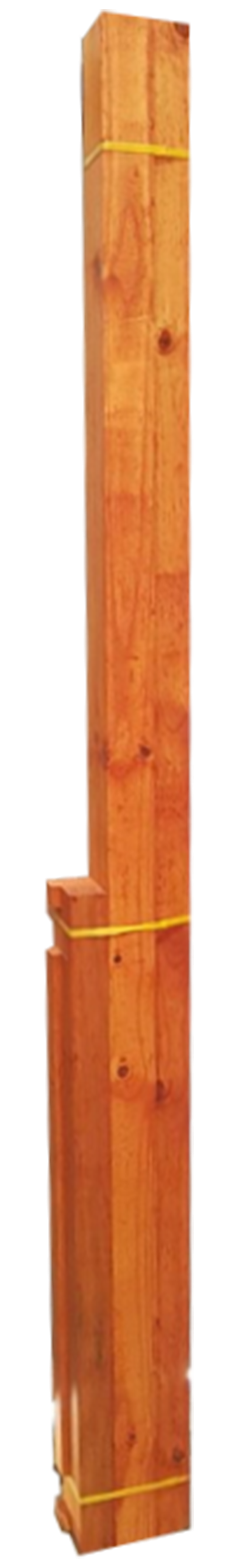 1307017.png