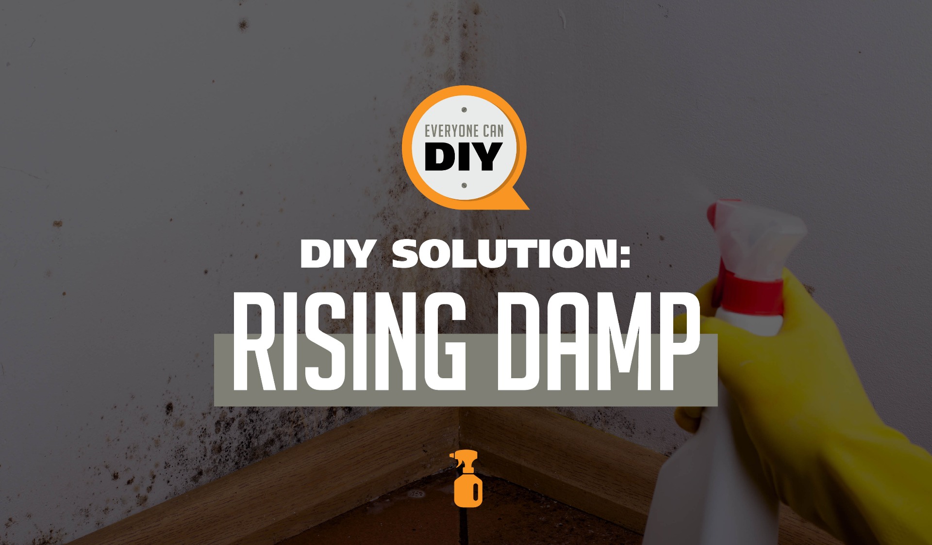 Rising Damp