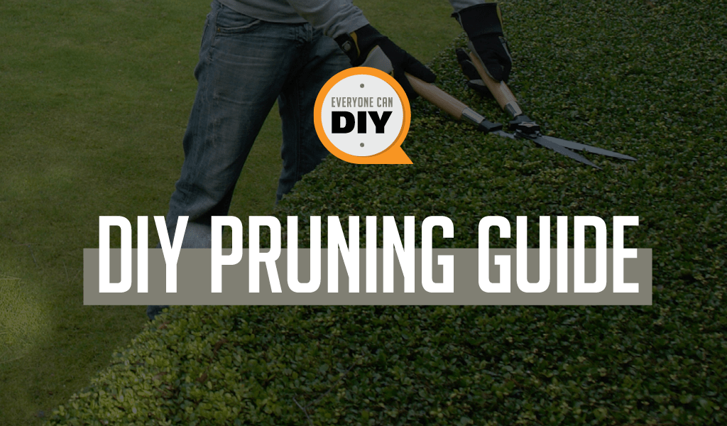 DIY Pruning Guide