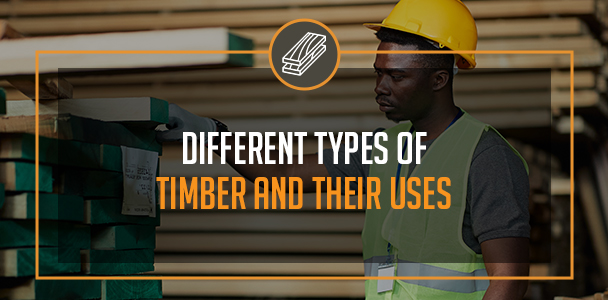 The Different Types of Timber and Their Uses 