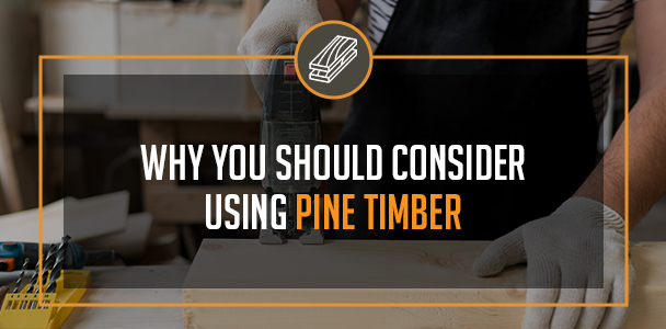 Why You Should Consider Using Pine Timber