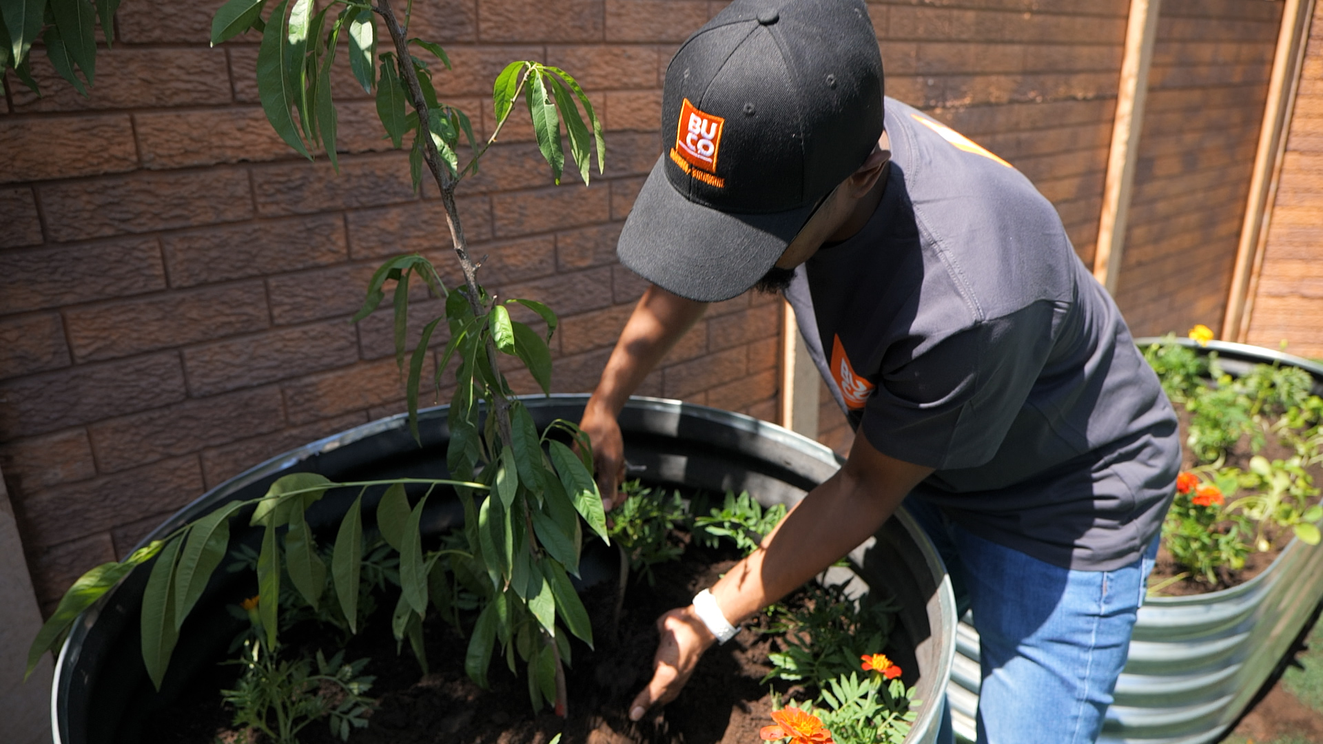 My Design Rules With Buco Supplies a Vegetable Garden for Rainbow of Hope