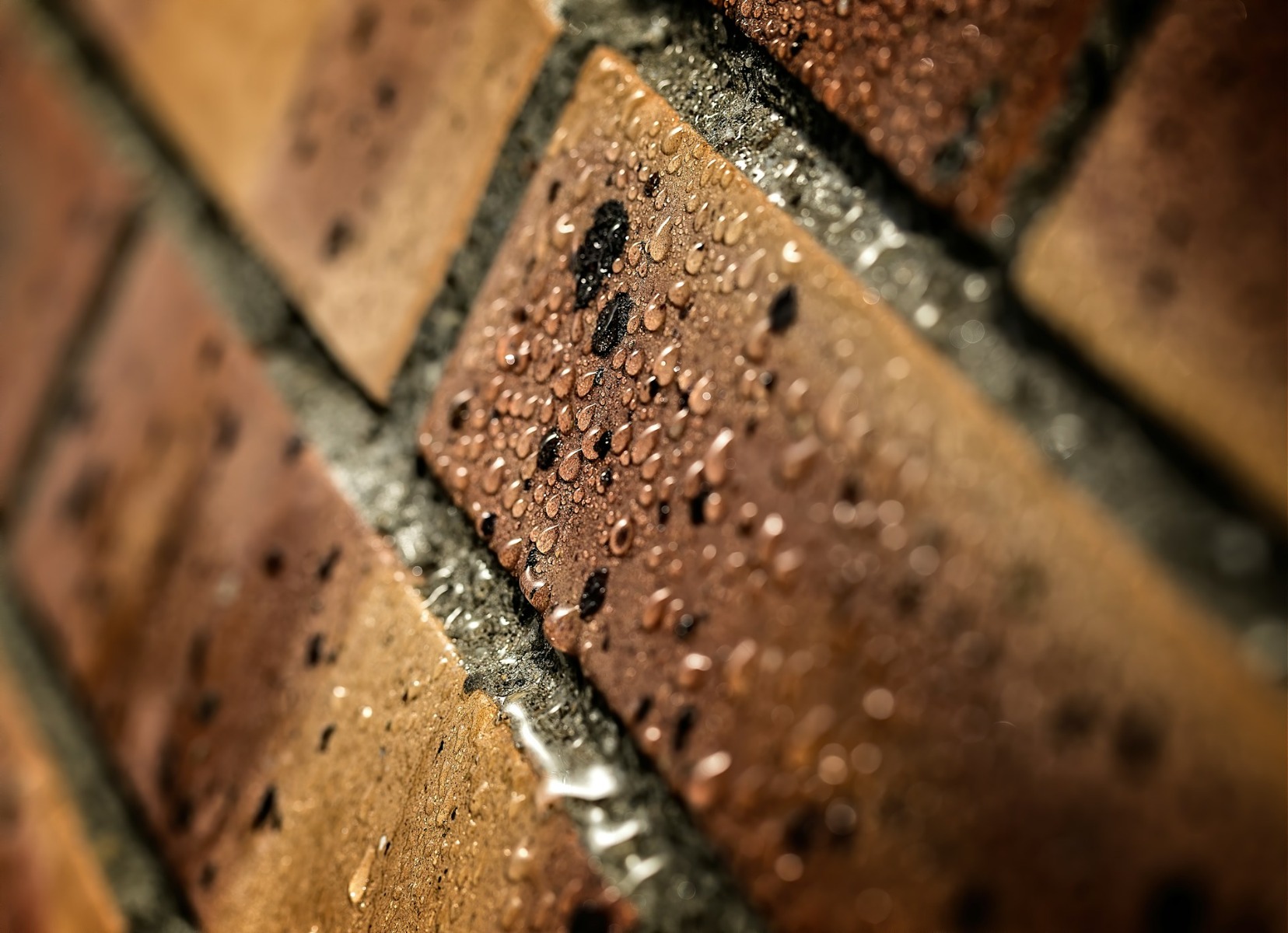 Damp Proofing vs Waterproofing Explained | BUCO