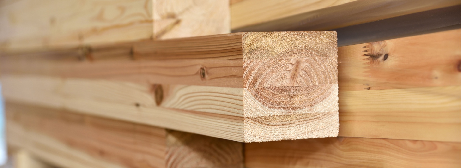 How Timber Moisture Content Affects Building Integrity