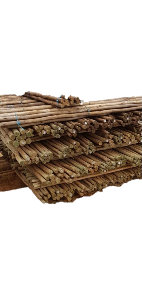 Laths 20-32mm 3.0m (Ea) (H3 CCA)