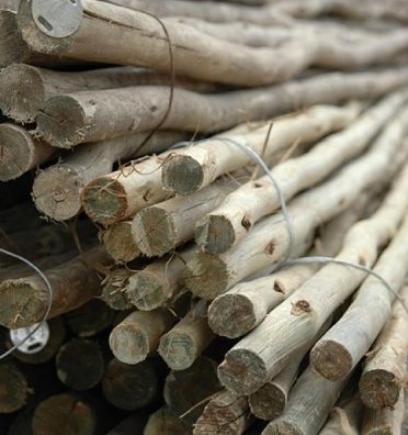 pine_fence_droppers.jpg