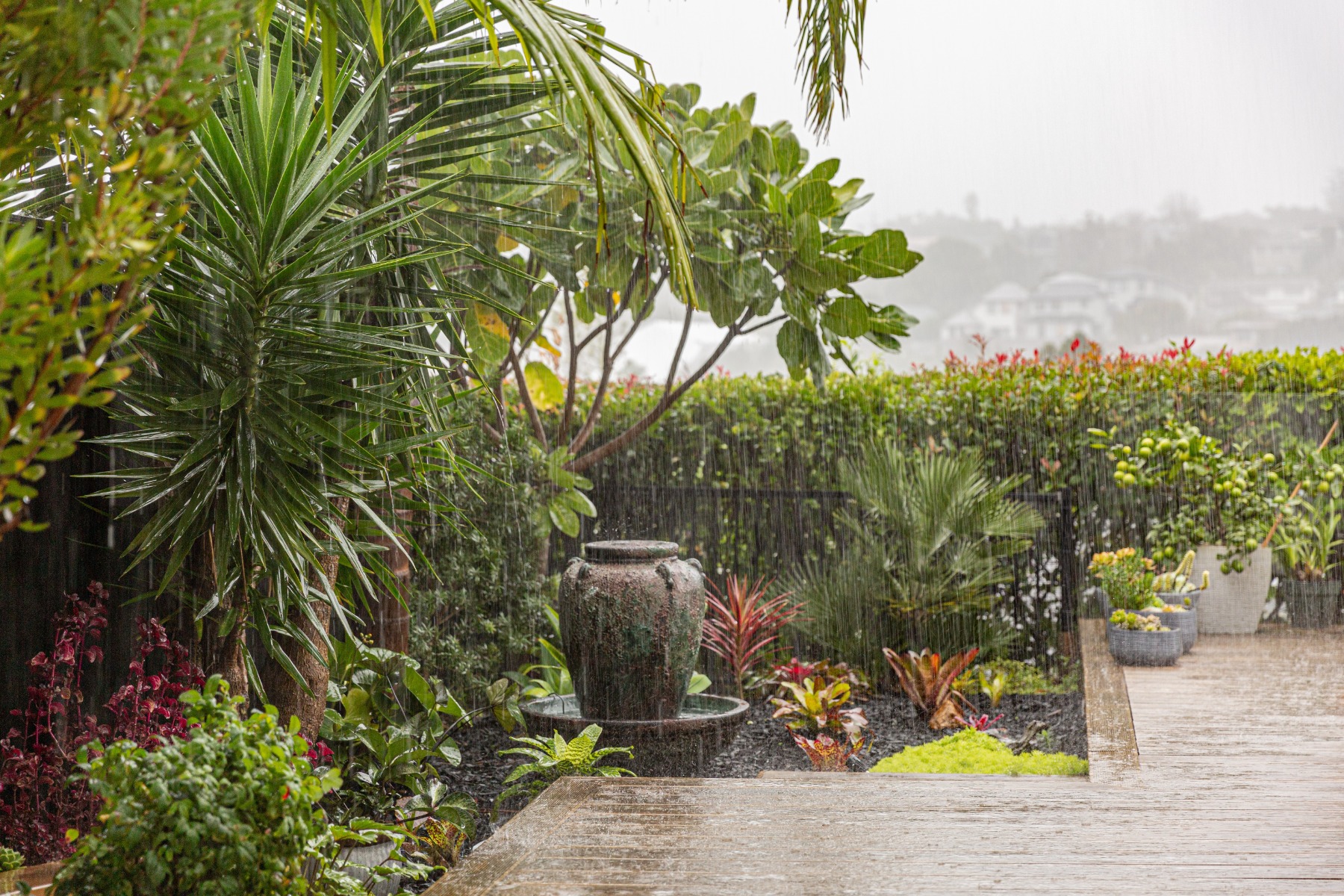 Staying Dry and Prepared: Expert Tips for Rainy Season Home and Garden Care