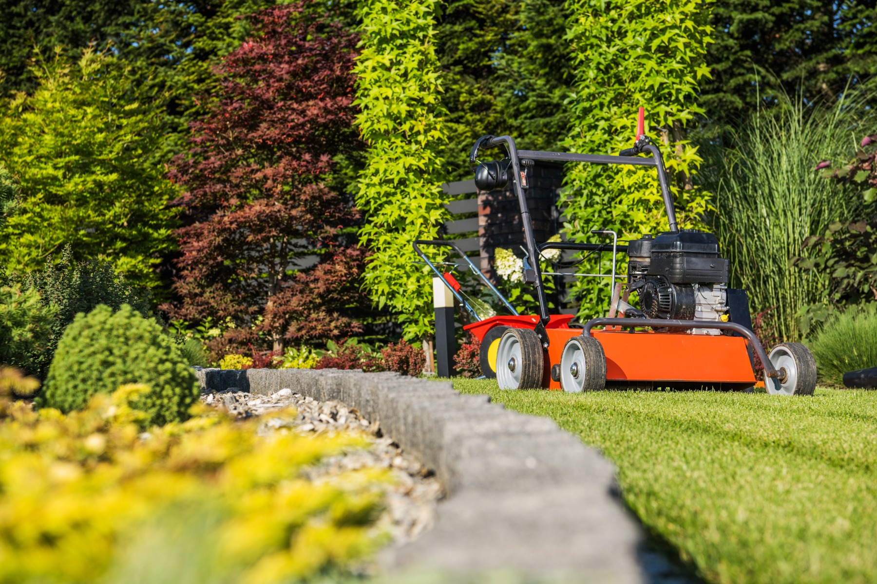 Landscape Like a Pro: DIY Tips for Professional-Looking Garden Design